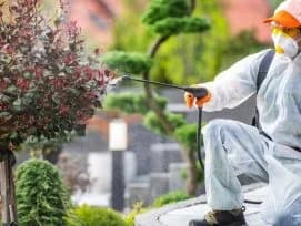 Garden Pest Control Dubai — Safe Pest Management
