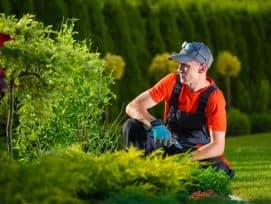 Garden Watering
