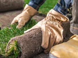 Grass Installation Dubai — Natural & Artificial Lawns