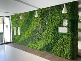 Green Walls