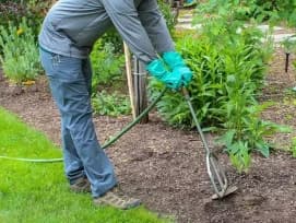 Plant Fertilizing Dubai — Healthy Growth Solutions