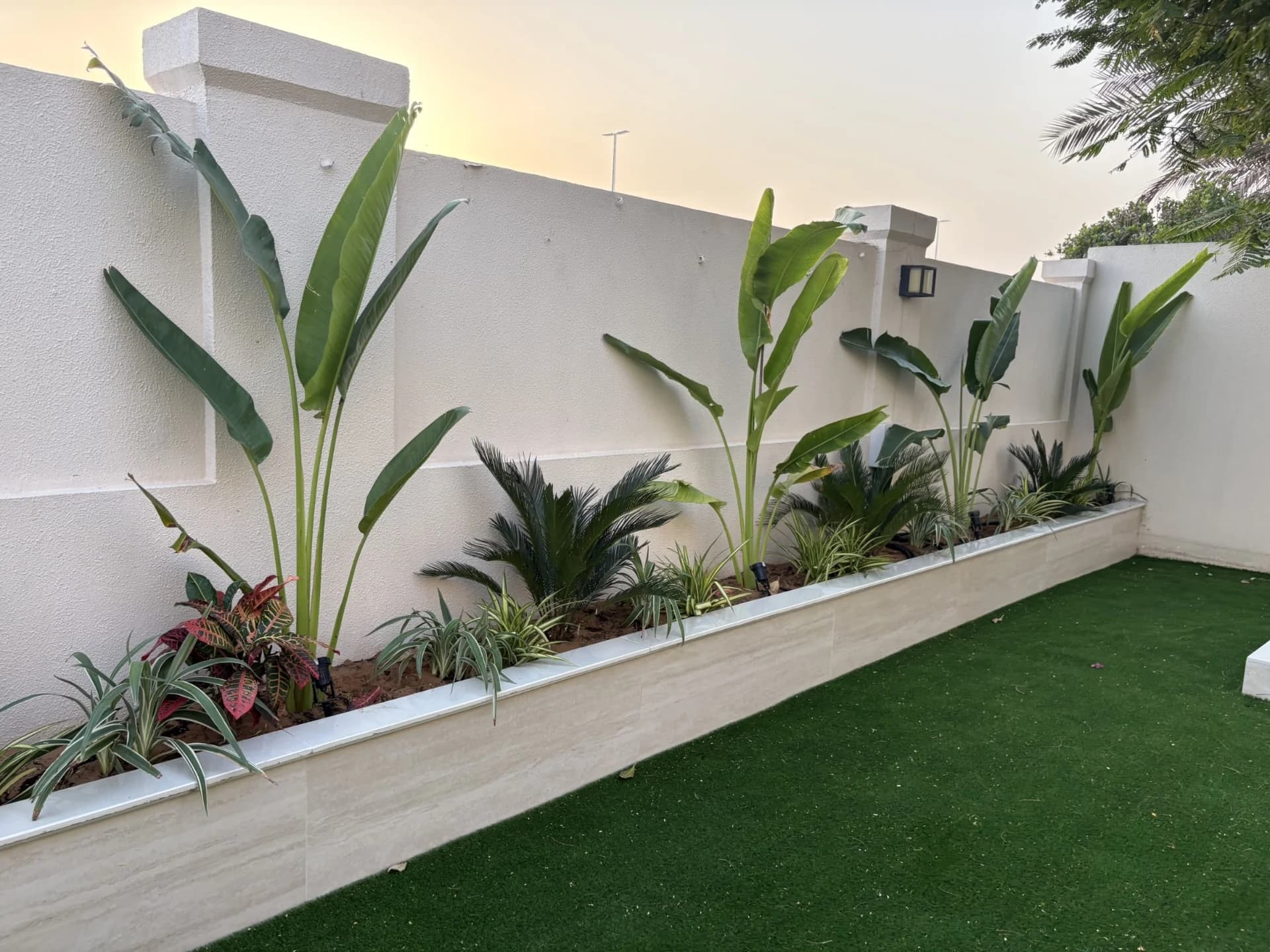 Green Beetle landscaping project 1