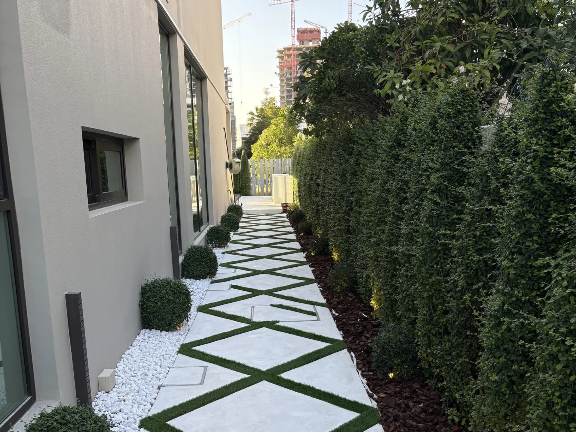 Green Beetle landscaping project 2