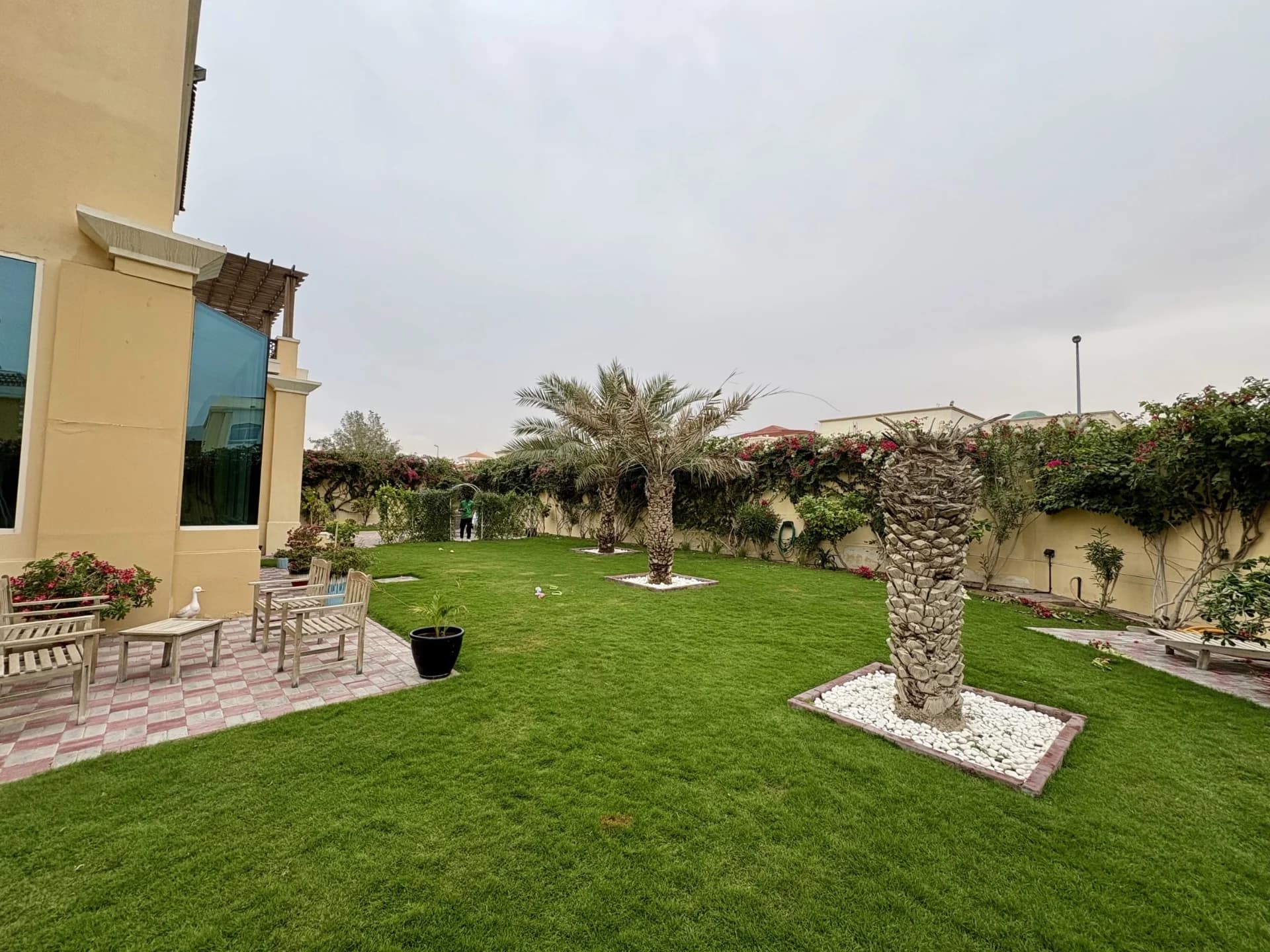 Green Beetle landscaping project 4