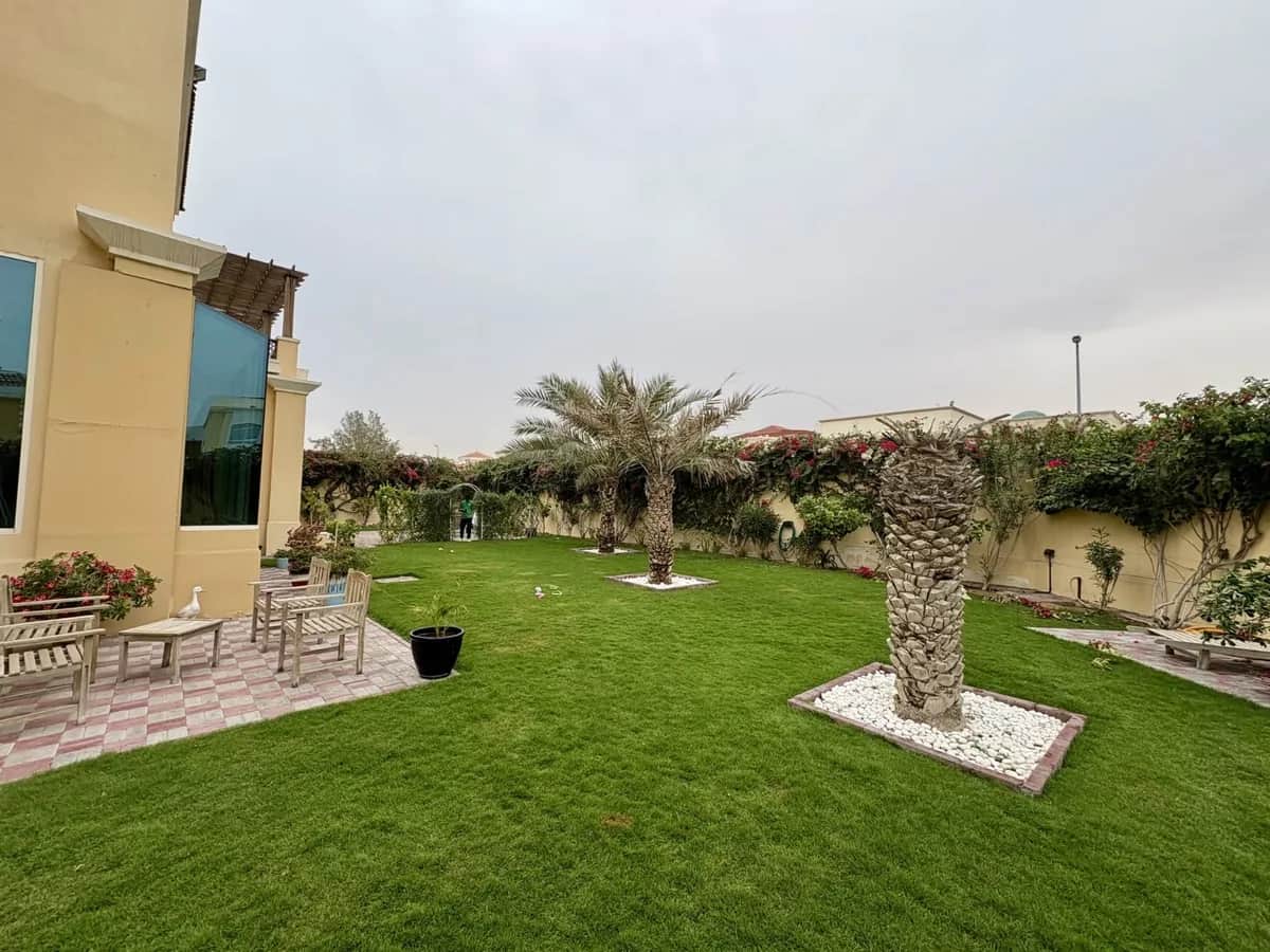 Green Beetle Dubai portfolio project 4