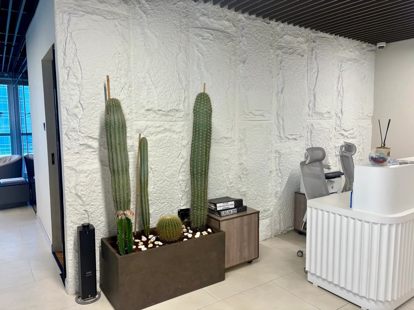 How to Maintain Plants in Dubai Heat, Expert Tips & Solutions, Green Beetle Blog Dubai