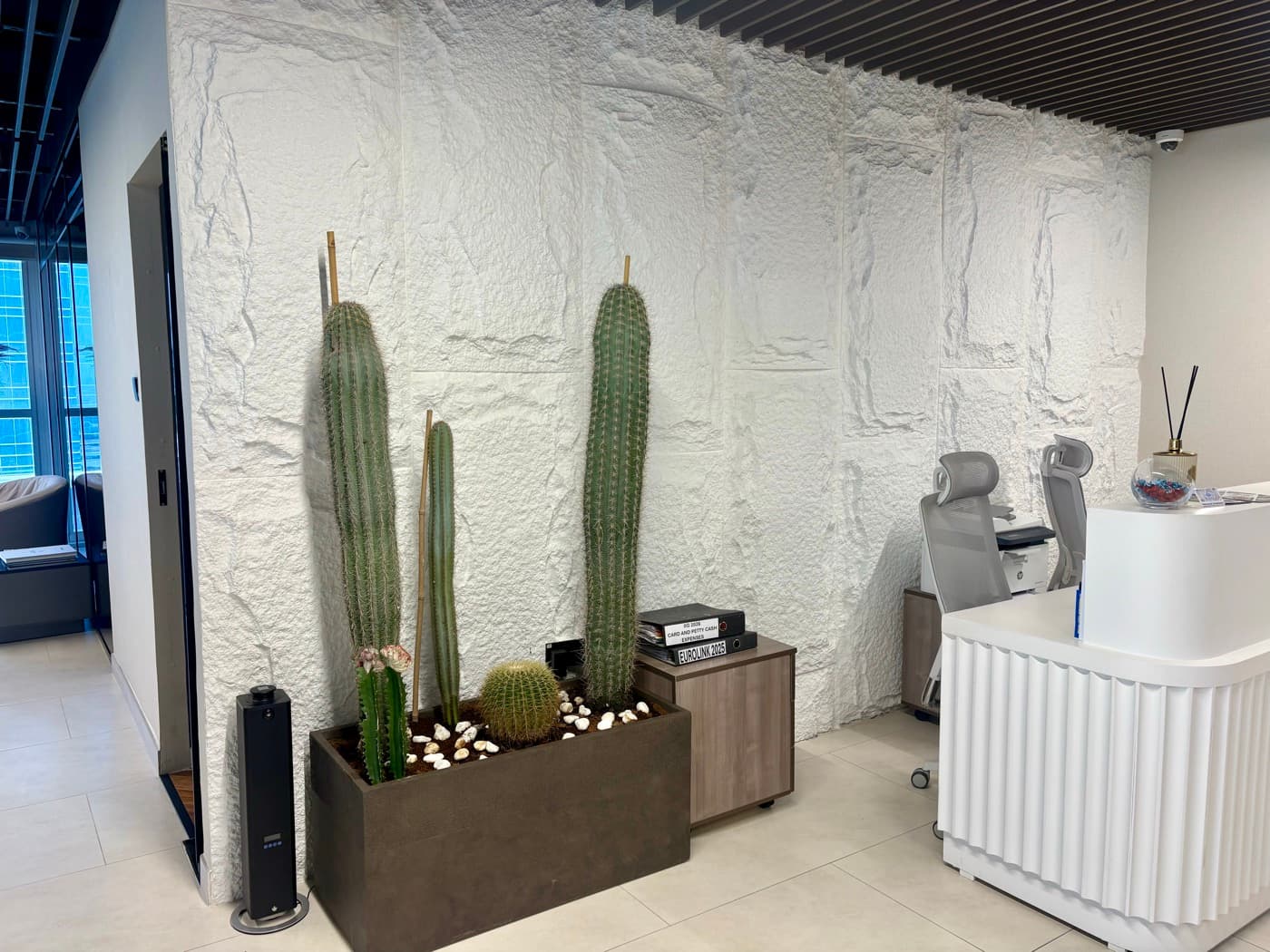 How to Maintain Plants in Dubai Heat, Expert Tips & Solutions, Green Beetle Blog Dubai