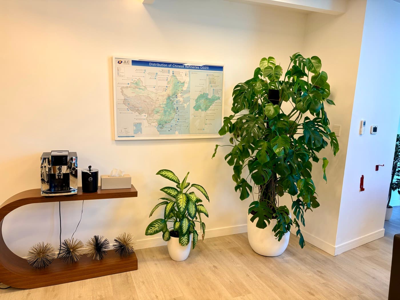 Indoor vs Outdoor Plant Maintenance in the UAE, What's Different?, Green Beetle Blog Dubai